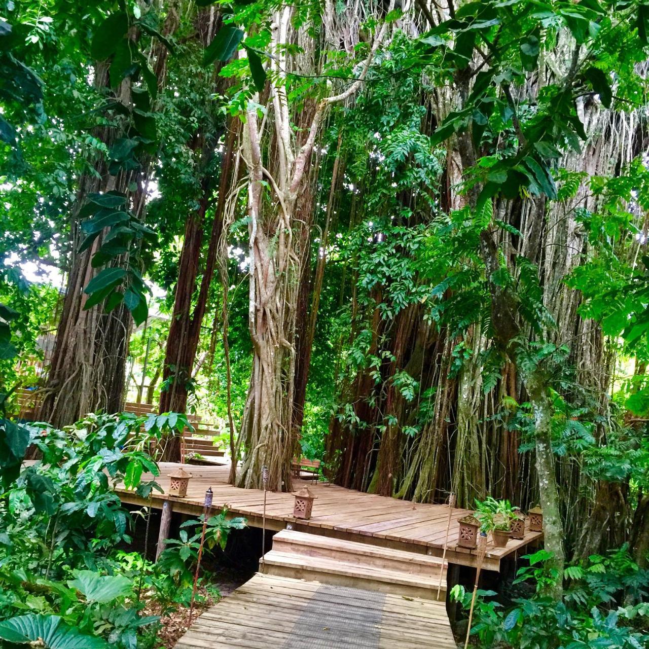 Matanivusi Beach Eco Resort Serua 外观 照片